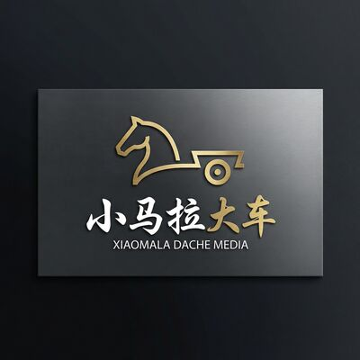 小马拉大车